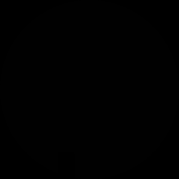 rankintayshia